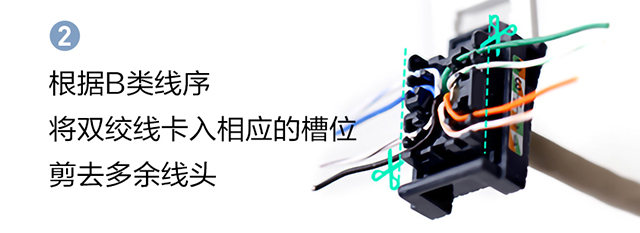 根據B類線序，将雙絞線卡入相(xiàng)應的(de)槽位，剪去(qù)多(duō)餘線頭